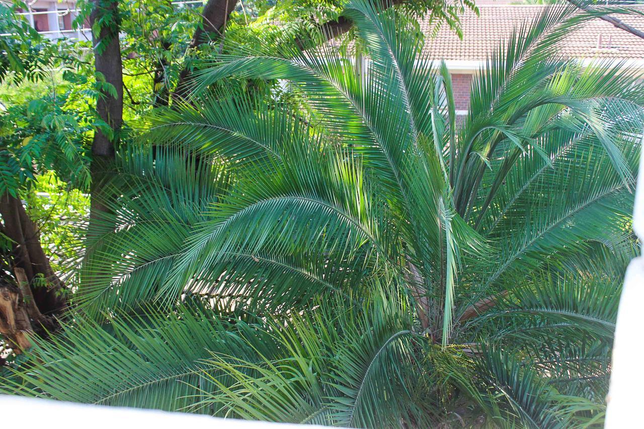 Lolo'S 1Bed Apt-Best Location-2Balconies Harare Exteriör bild